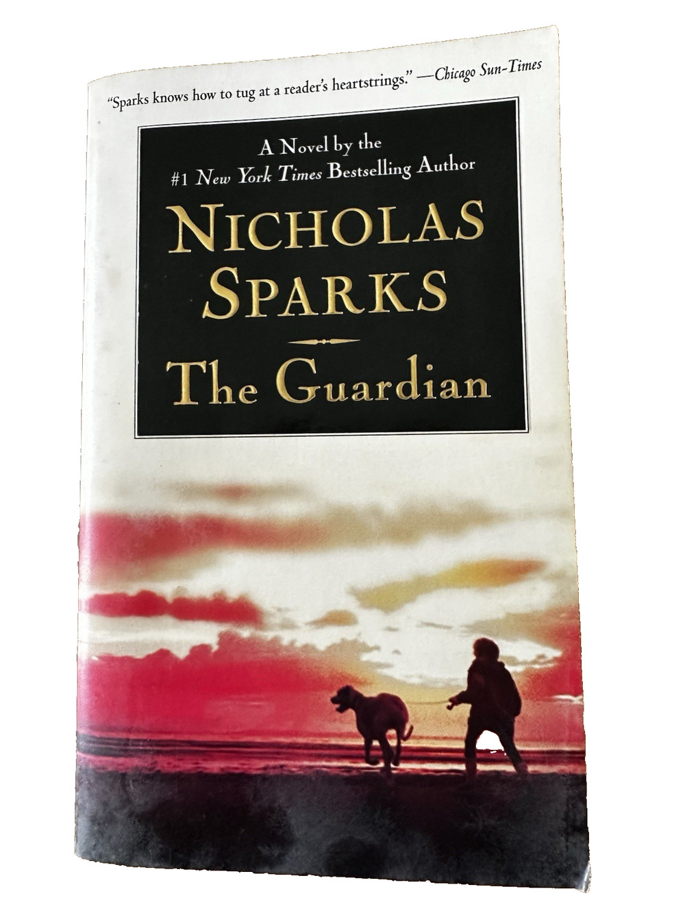Nicholas Sparks PB Book/Novel The Guardian 2003 Warner Books Romance